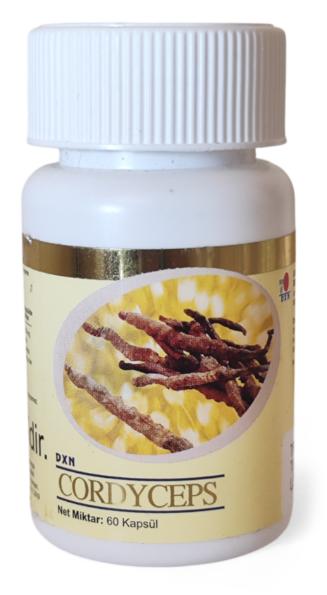 cordyceps-5